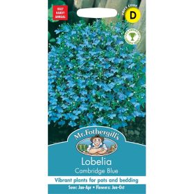 Lobelia Cambridge Blue Seeds